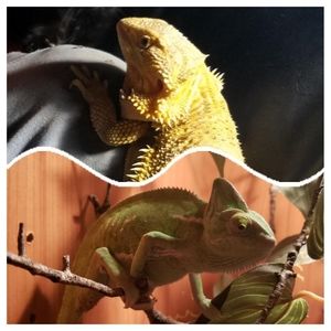 Meet your Posher, Stacey